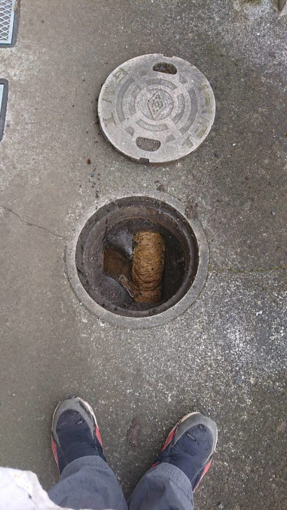 Thumbnail of post image 083