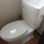 Thumbnail of related posts 089